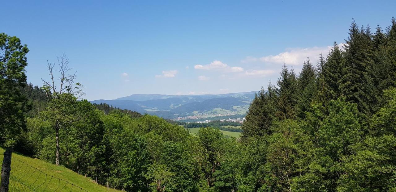 Sternen Post Oberried (Breisgau)