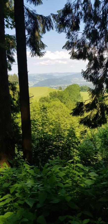 Sternen Post Oberried (Breisgau)